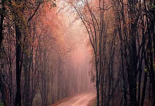 国足新一期大名单公布：伊万继续挂帅 武磊带伤入选.