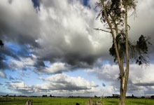 NG28：詹姆斯：还需要时间找回进攻节奏，我专注于帮助球队获得胜利.