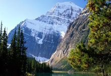 37岁C罗第5次征战世界杯 鼓舞全队：加油葡萄牙!.